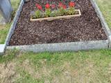 image of grave number 438871